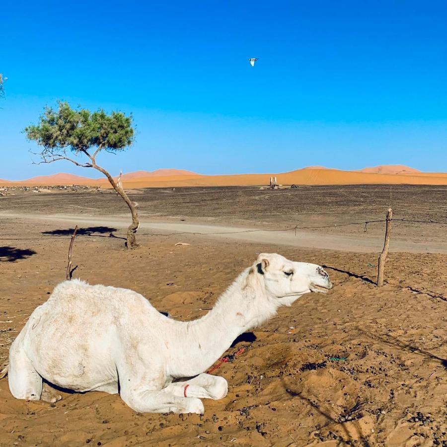 Maison Adrar Merzouga Exteriér fotografie